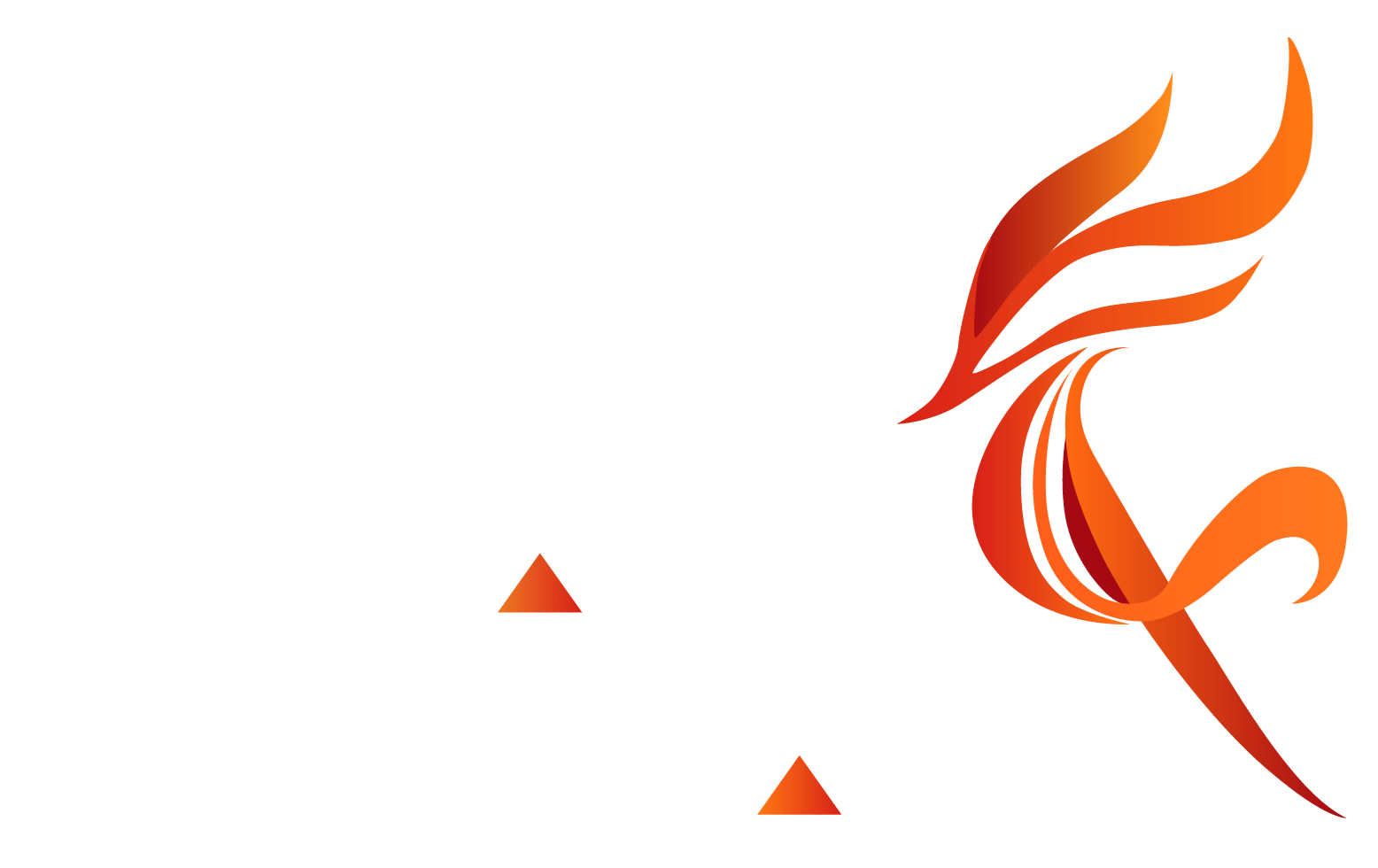Maxi Wasi