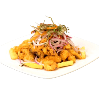Chicharrón Maxi wasi